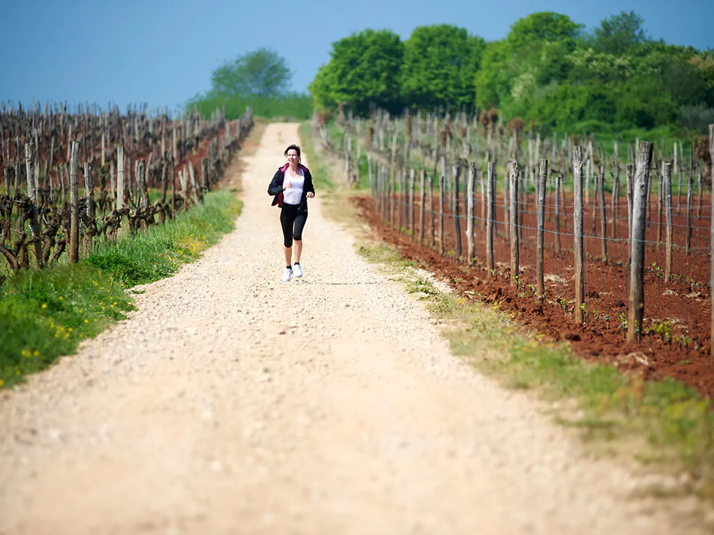 aminess-sirena-activities-running-through-vineyard