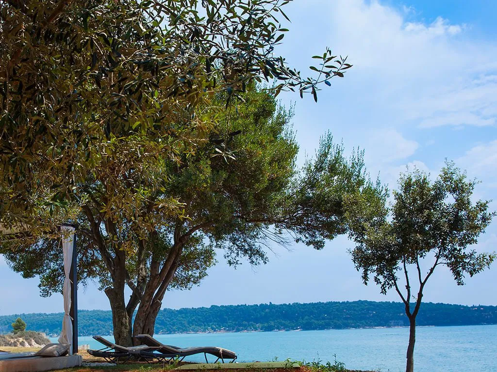aminess-sirena-campsite-superior-mare-pitch