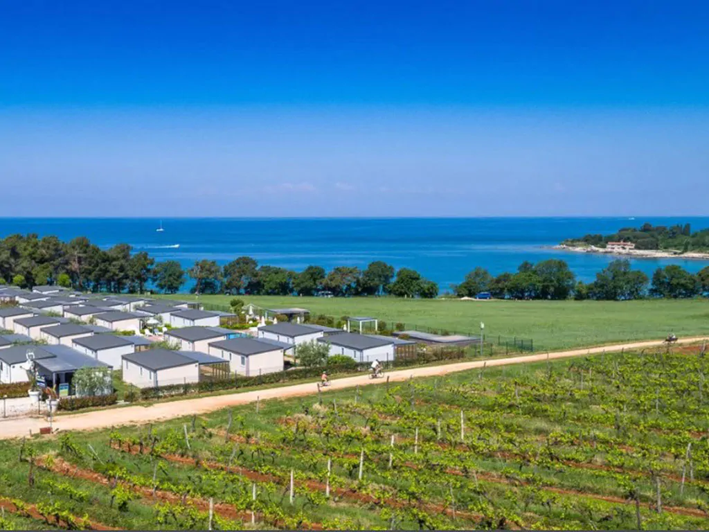 camping-kastanija-novigrad-camping-air-view