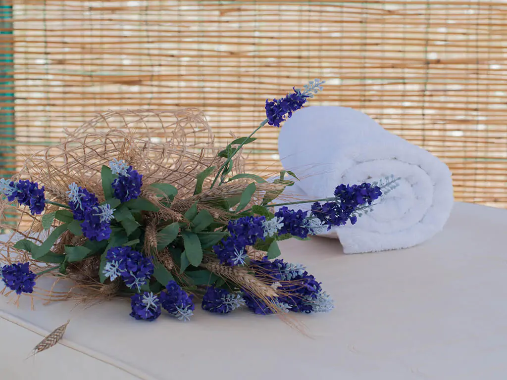 camping-kastanija-novigrad-details