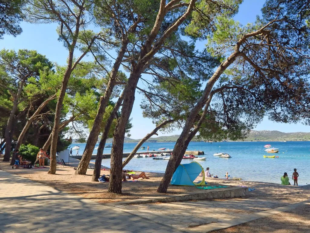 camping-ljutic-beach-and-pine-forest