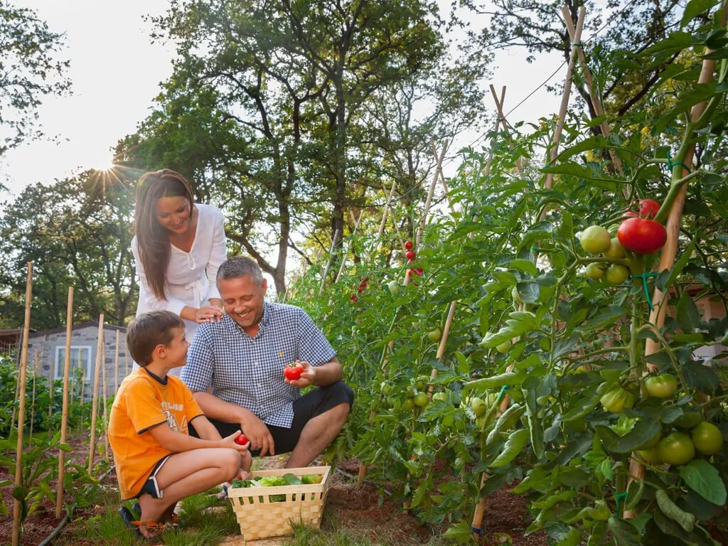 camping-mareda-instrian-village-garden