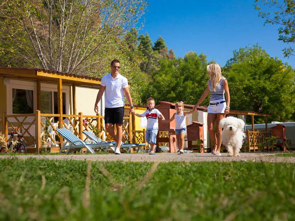 camping-medveja-premium-mobile-homes-family-ii