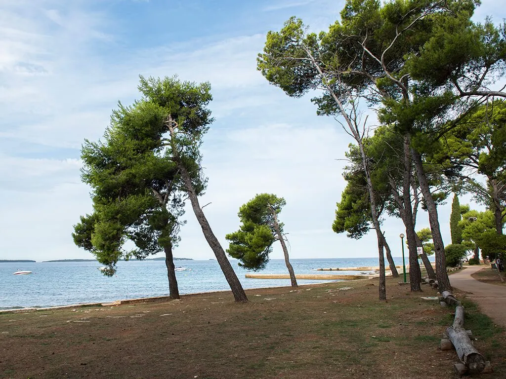 camping-pineta-beach-v