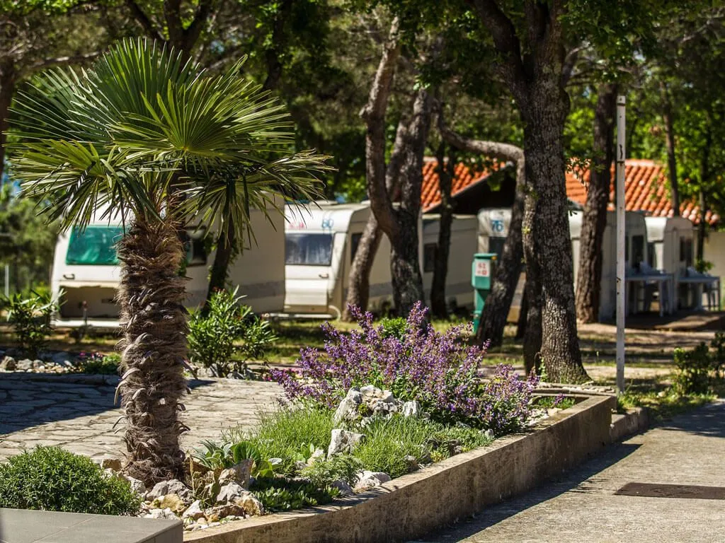 camping-selce-details
