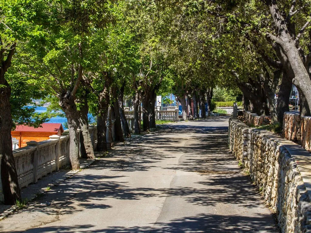 camping-selce-strolling-path-2
