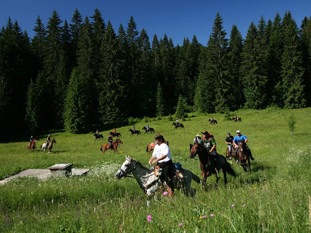 camping-turist-grabovac-horse-riding