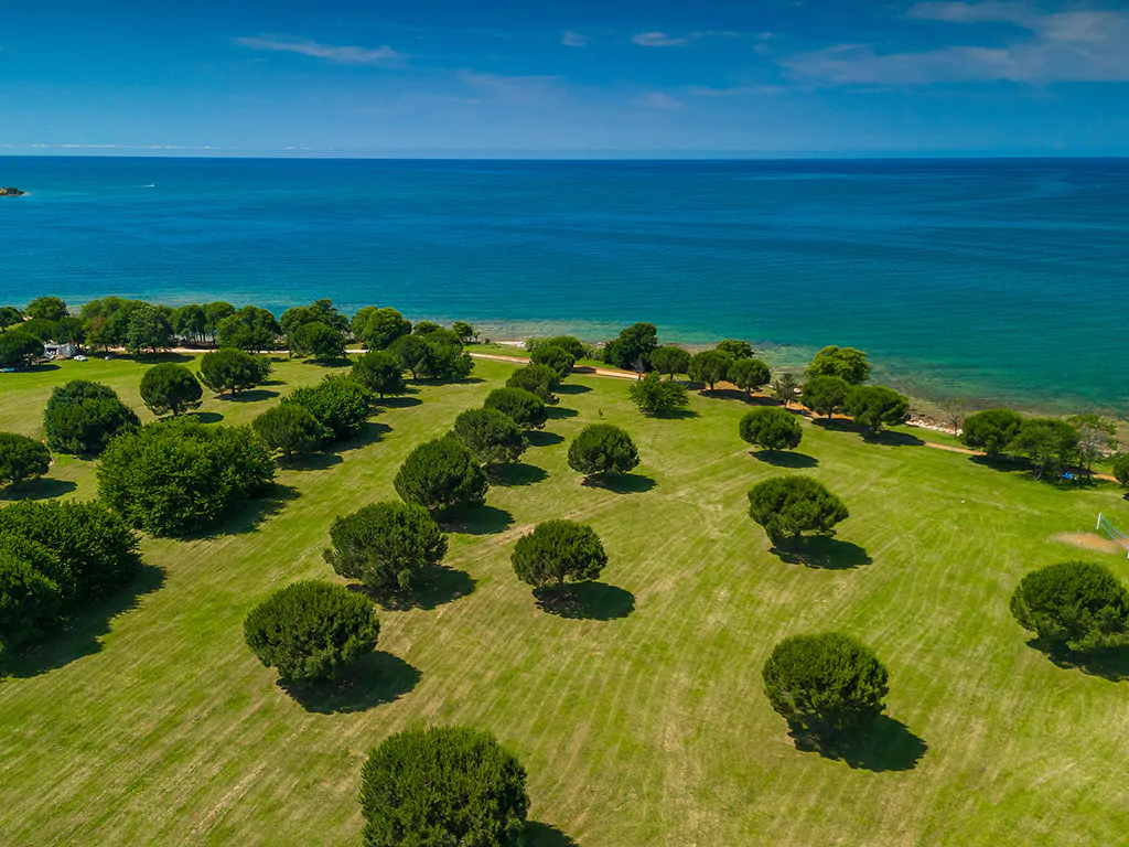 campsite-park-umag-tree-layout