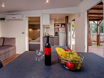 camping-ljutic-mobile-home-superior-interior-v