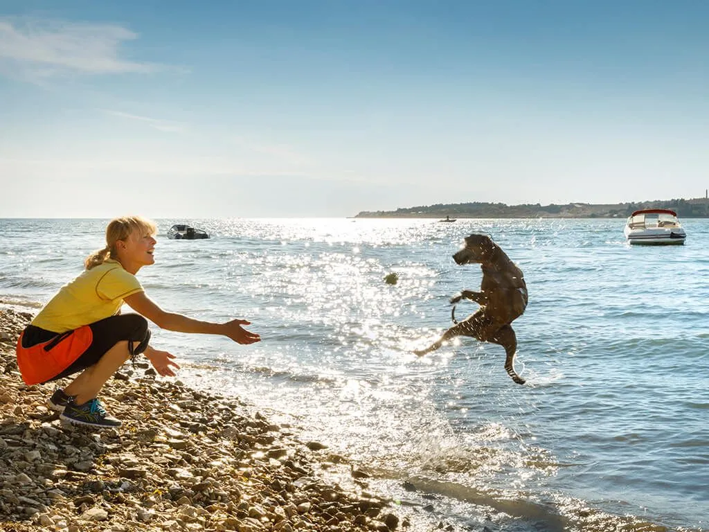 camping-resort-lanterna-happy-dog-beach-2