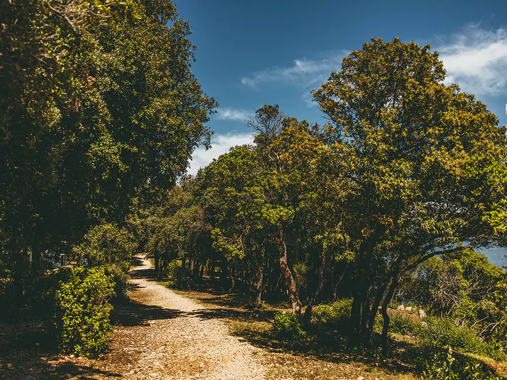 koversadauncovered-naturist-lim-bay-woods