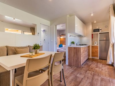 mobile-home-central-village-superior-interior-living-room-2
