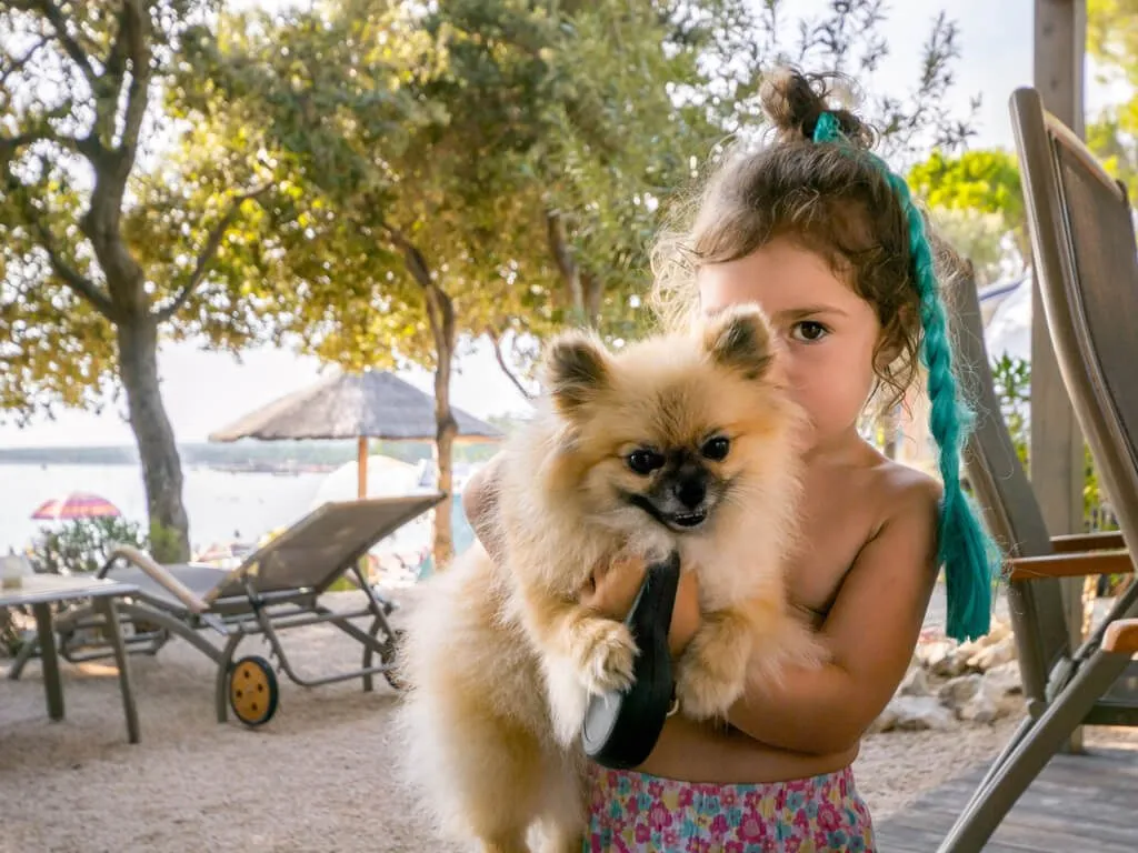 campsite-simuni-pet-friendly-campsite