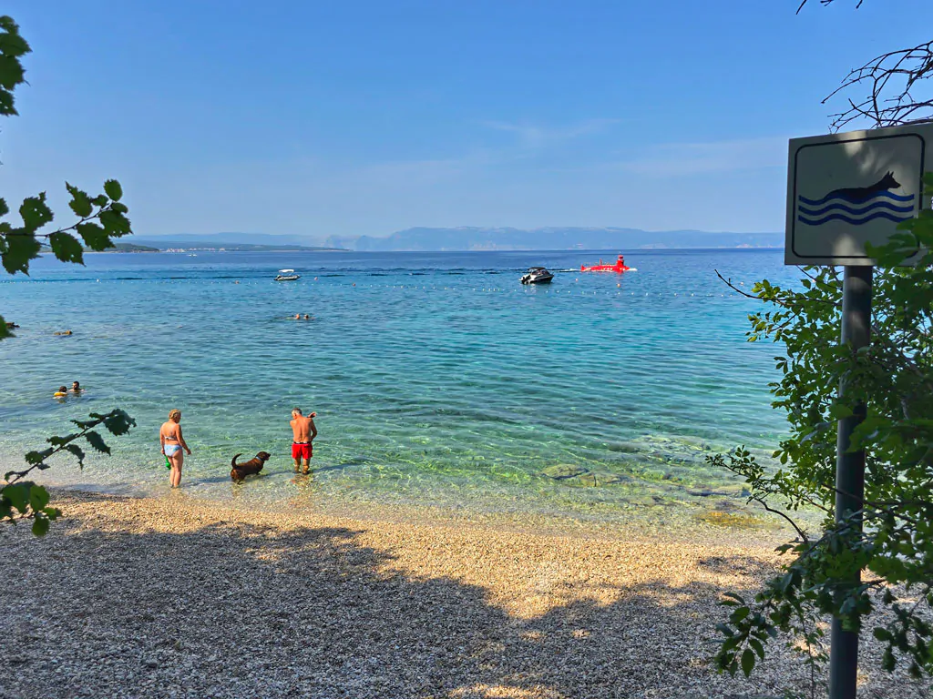 aminess-style-camping-atea-resort-dogs-beach