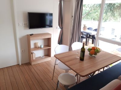 mobile-home-comfort-interior-living-room-5