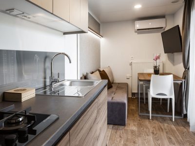 camping-vita-terme-tuhelj-mobile-home-vita-couple-interior-kitchen-living-room