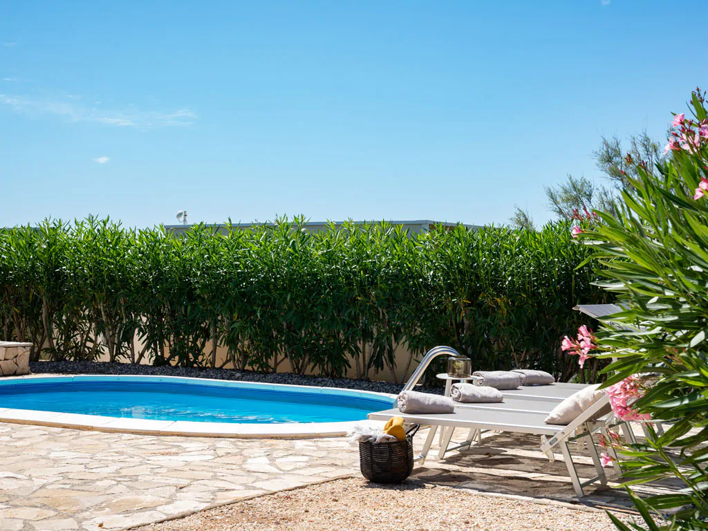 campsite-terra-park-phalaris-mobile-home-tamaris-holiday-home-pool-exterior-pool