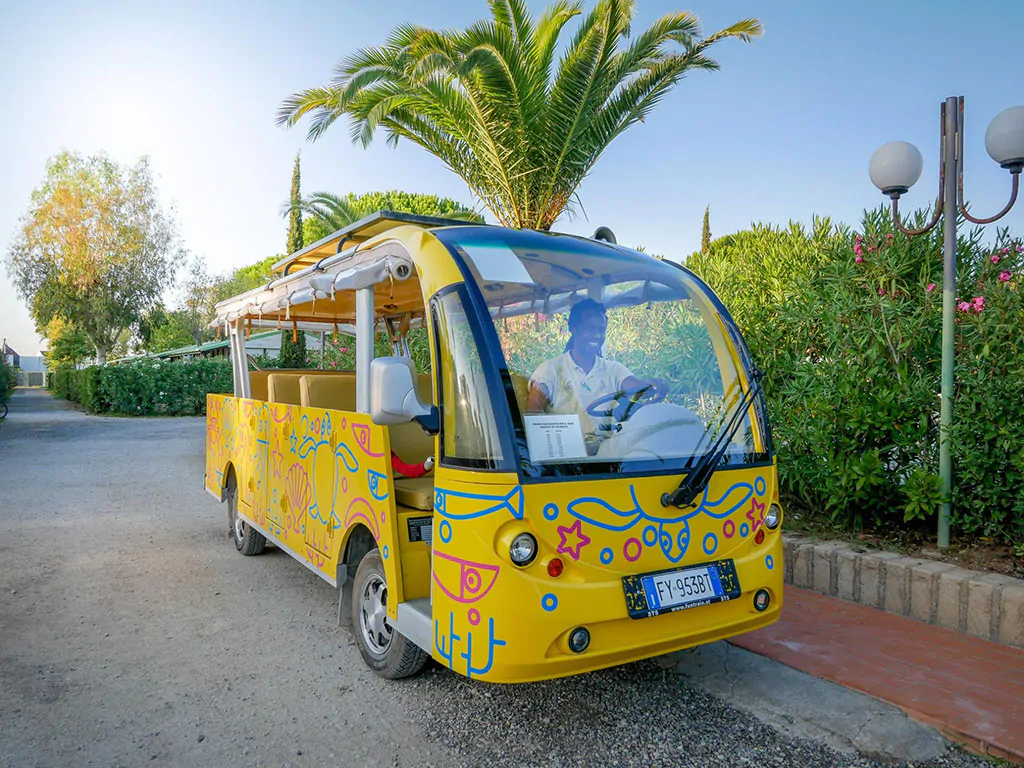 camping-free-beach-mini-bus