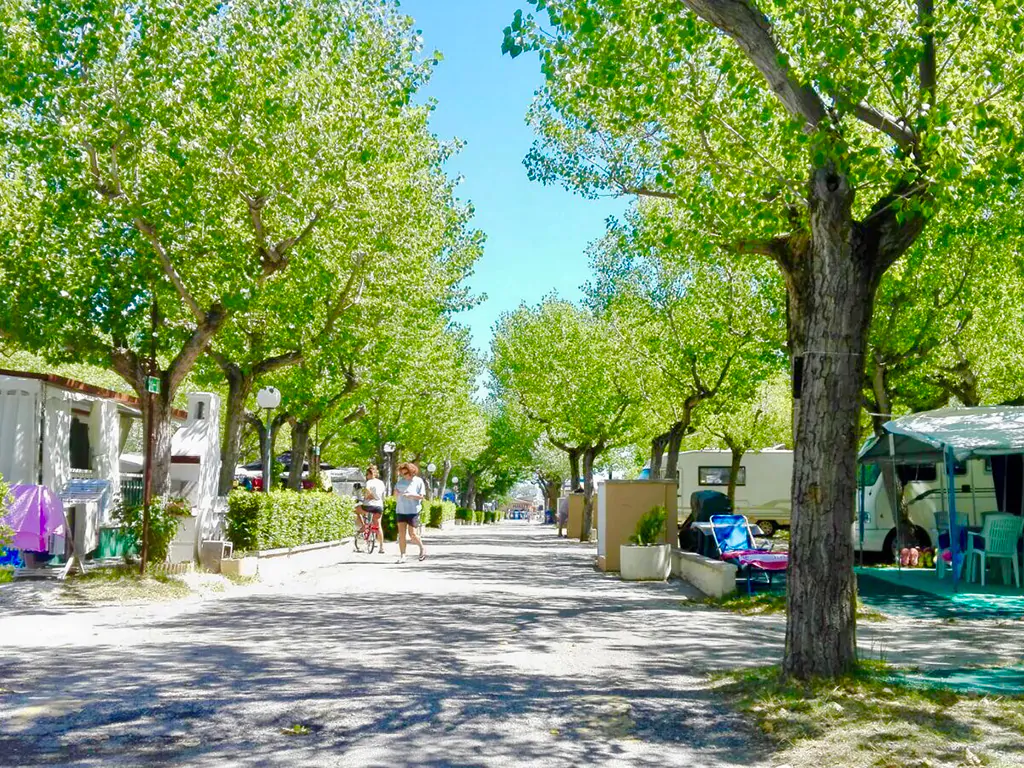 camping-international-riccione