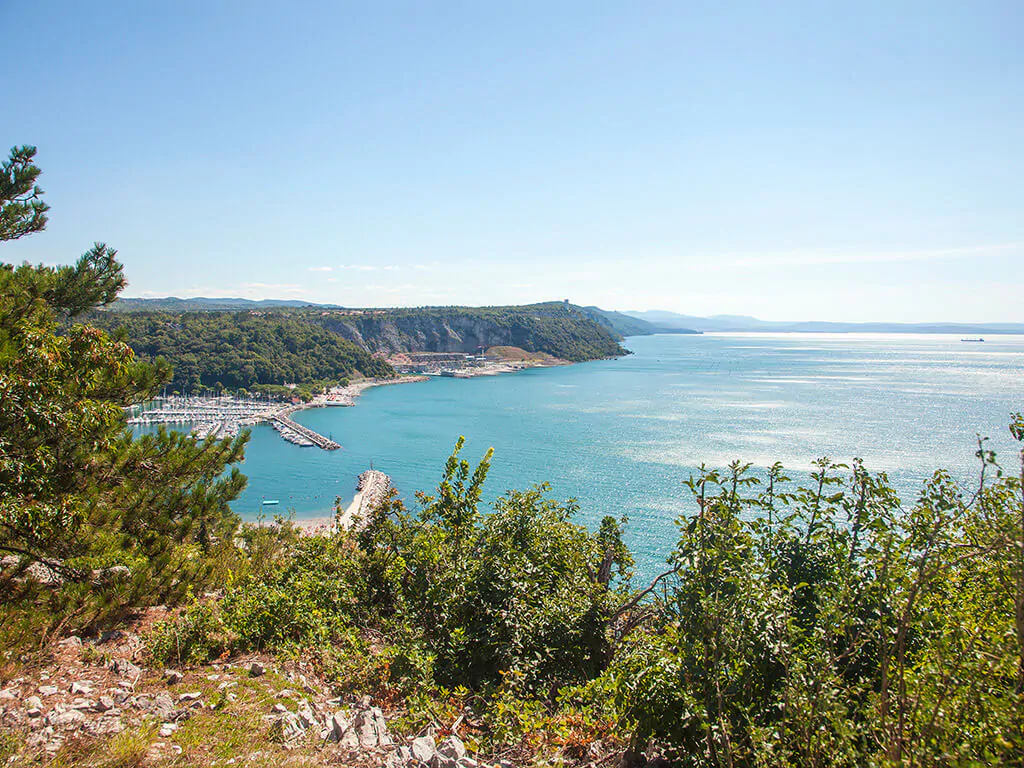 camping-mare-pineta-panorama
