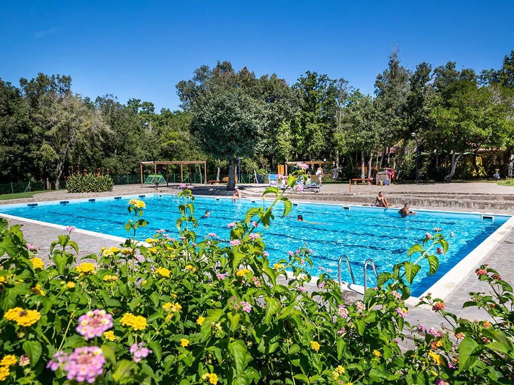 camping-montescudaio-pool-2