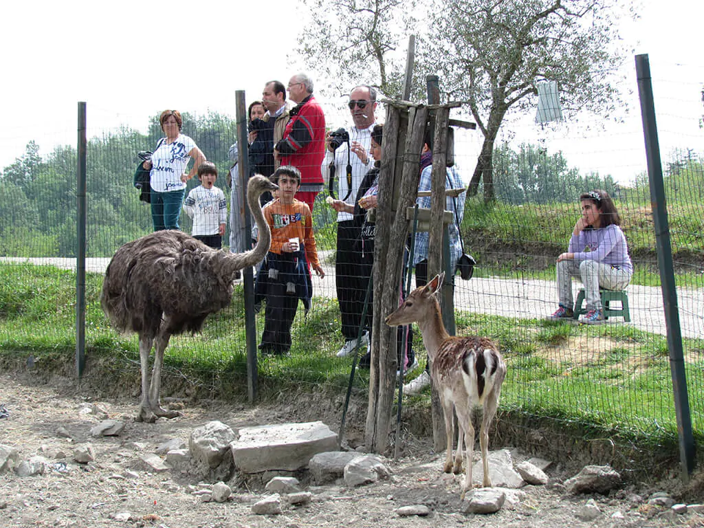 camping-norcenni-safari-park-3