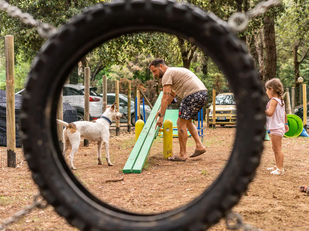 dog-friendly-exterior-dog-park