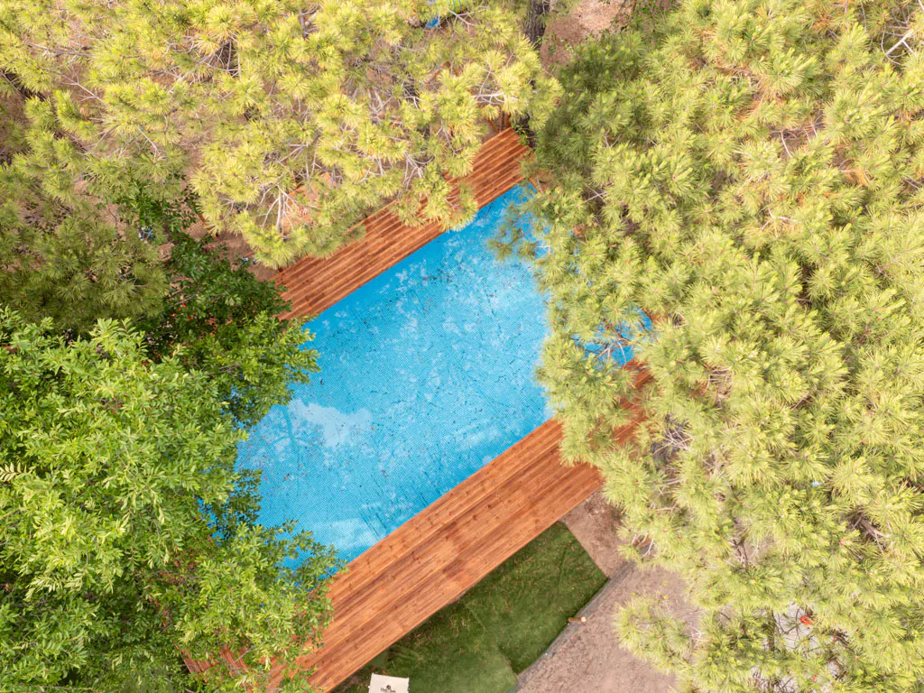 dog-friendly-exterior-pool-birds-eye