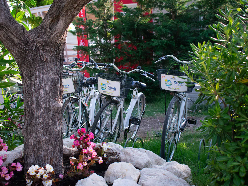 stork-family-camping-village-bikes
