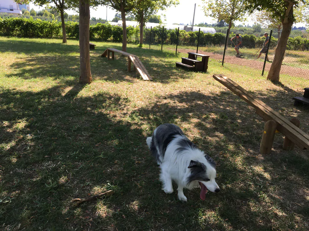 stork-family-camping-village-dog-park