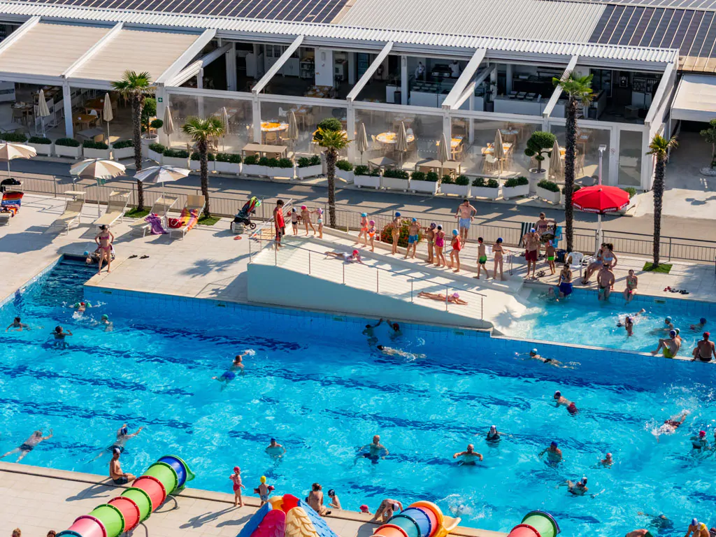 stork-family-collection-pool-air-view-people