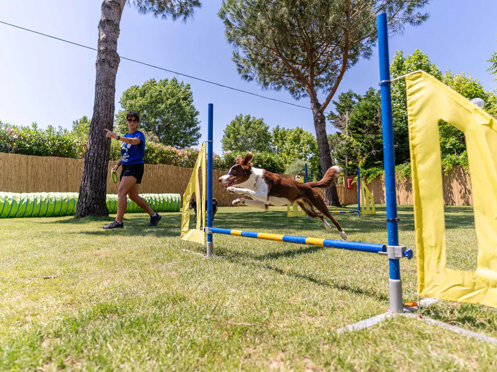 vigna-sul-mar-familiy-camping-village-dog-park-i