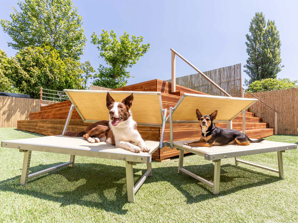 vigna-sul-mar-familiy-camping-village-dog-park-iii