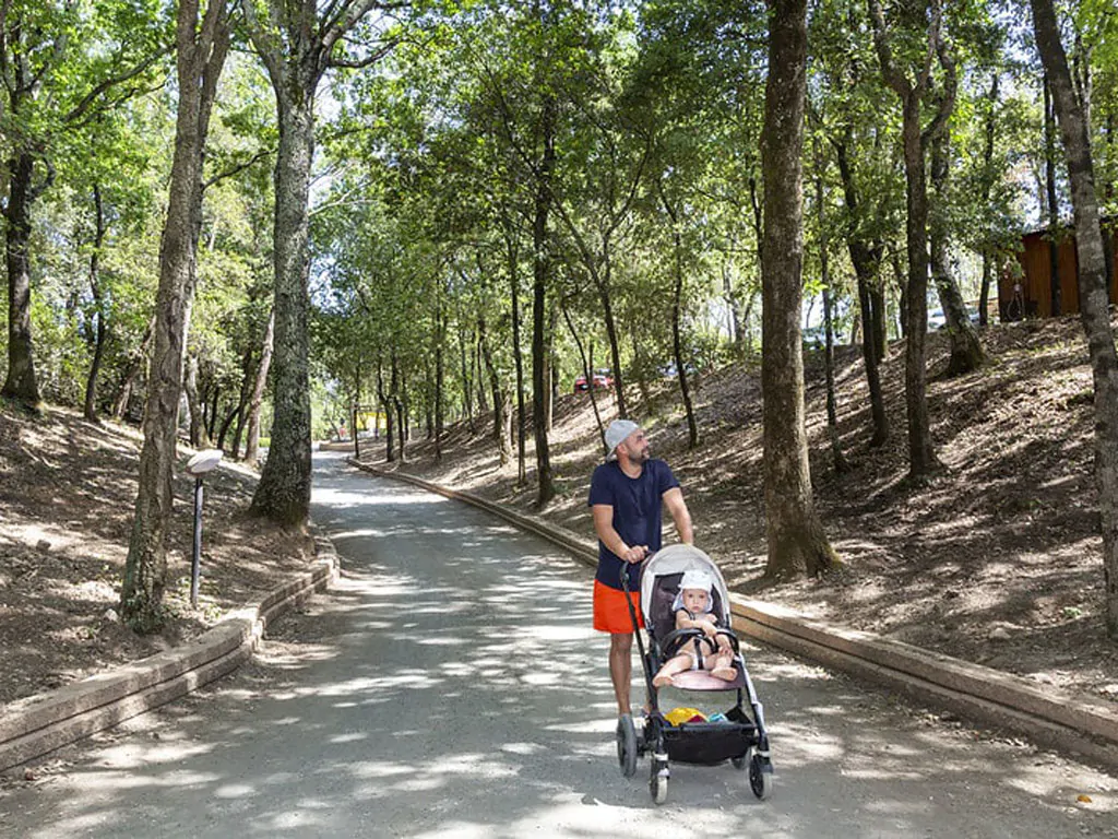 hu-montescudaio-village-walking-area-forest
