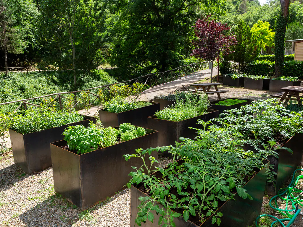 hu-norcenni-girasole-village-garden