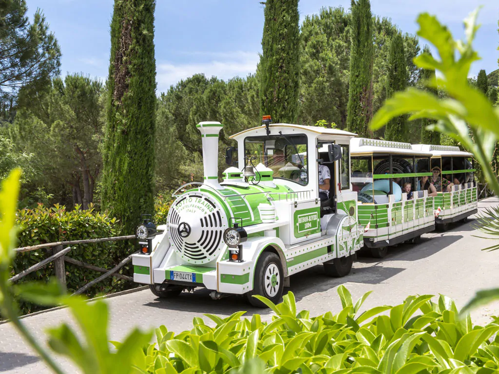 hu-norcenni-girasole-village-train
