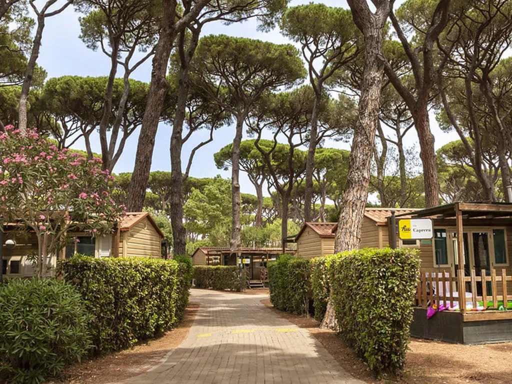 hu-park-albatros-village-mobile-home