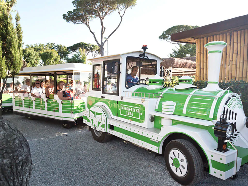 hu-park-albatros-village-train