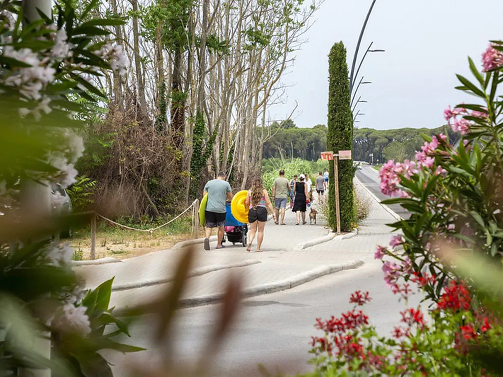 hu-park-albatros-village-walking-area