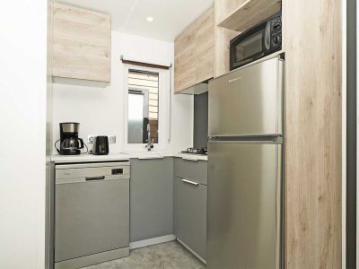 mobile-homes-privilege-kitchen-1