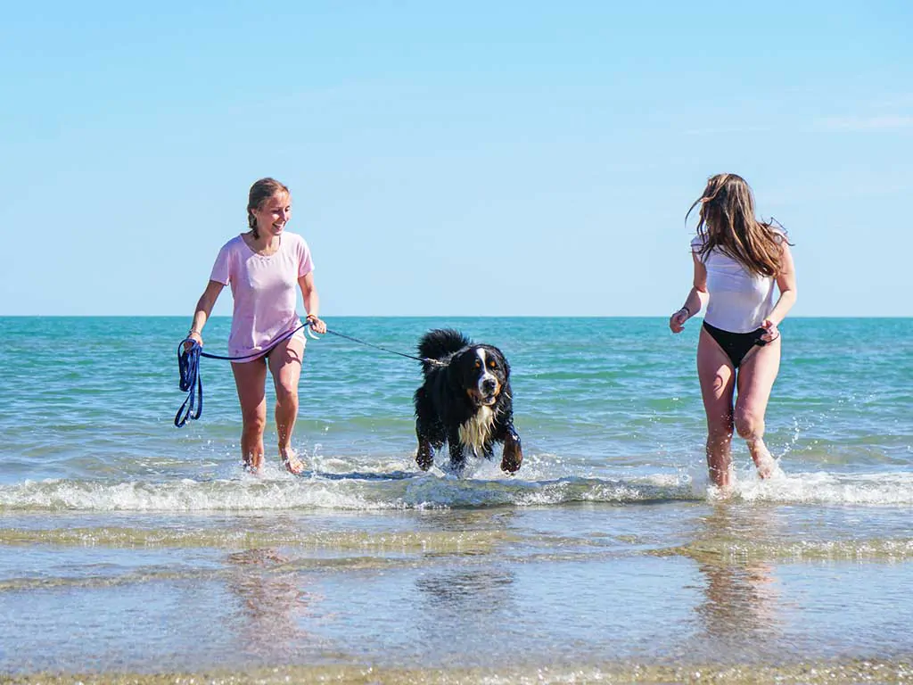 camping-union-lido-park-and-resort-dog-beach