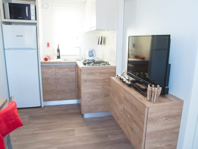 big-bear-plitvice-resort-kitchen-interior-of-mobile-home-xi