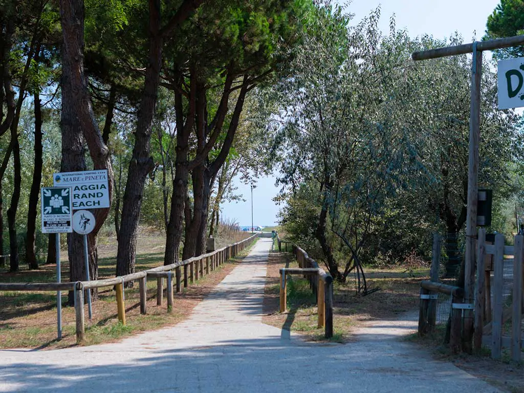 camping-mare-e-pineta-nature