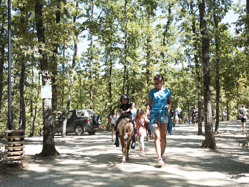 camping-orlando-in-chianti-riding-horses-1024x768
