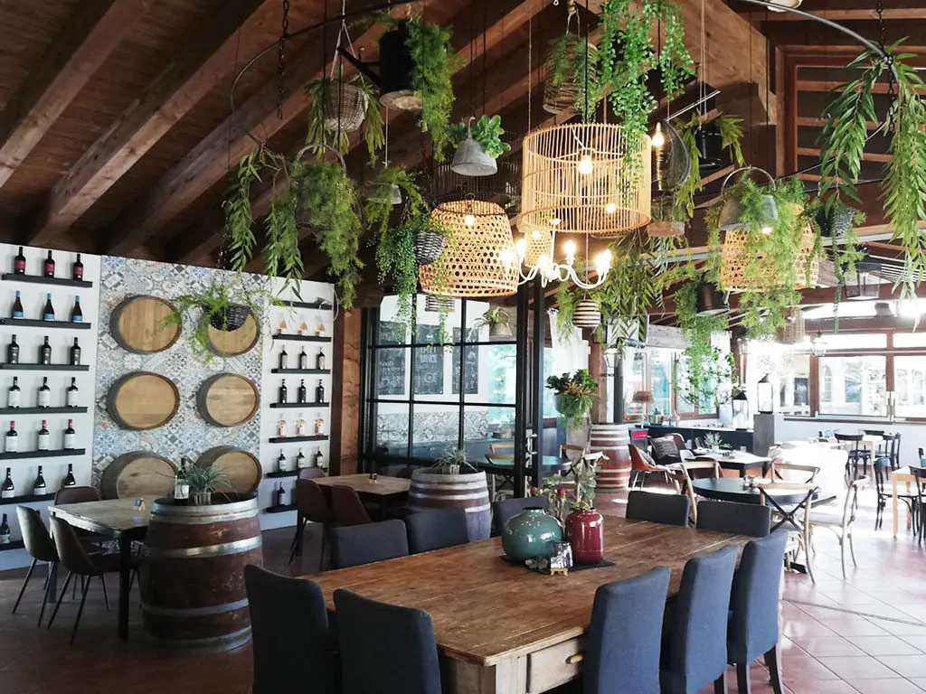 camping-orlando-in-chianti-wine-bar-1024x768