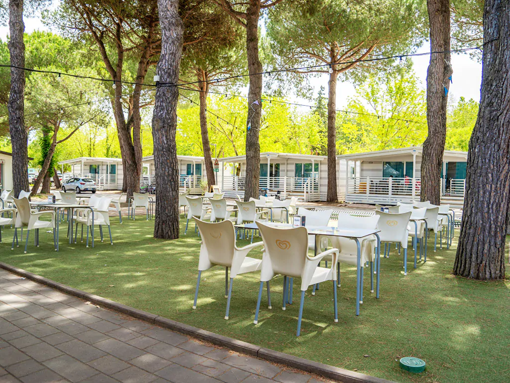 pineta-sul-mare-mobile-homes-bar-trees-shadow