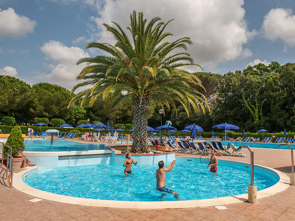 valle-gaia-pool-palm-tree-activites