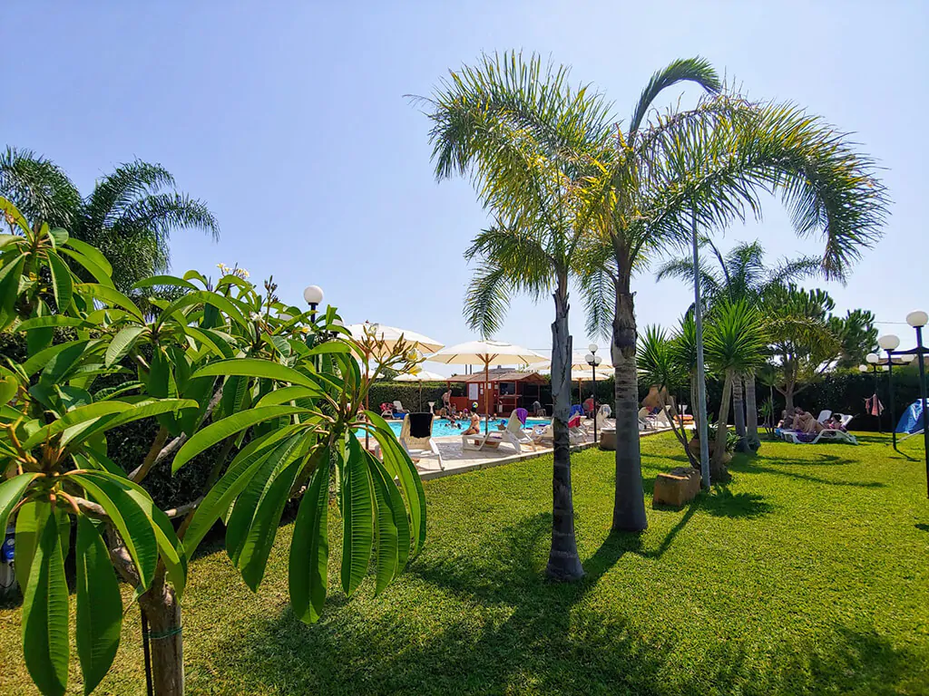 campiste-lilybeo-village-pool-area-palm-trees