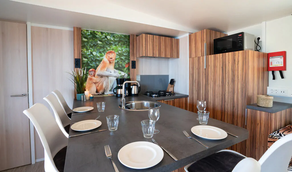 mobile-home-sunlodge-catalpa-interior-kitchen-4