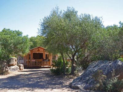 sunlodge-safari-tent-exterior-environment-4